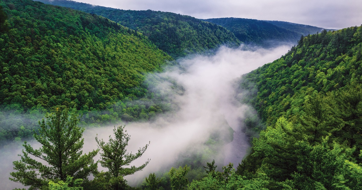 Your Guide To Hiking And Exploring Pine Creek Gorge   Pine Creek State Park Fb 