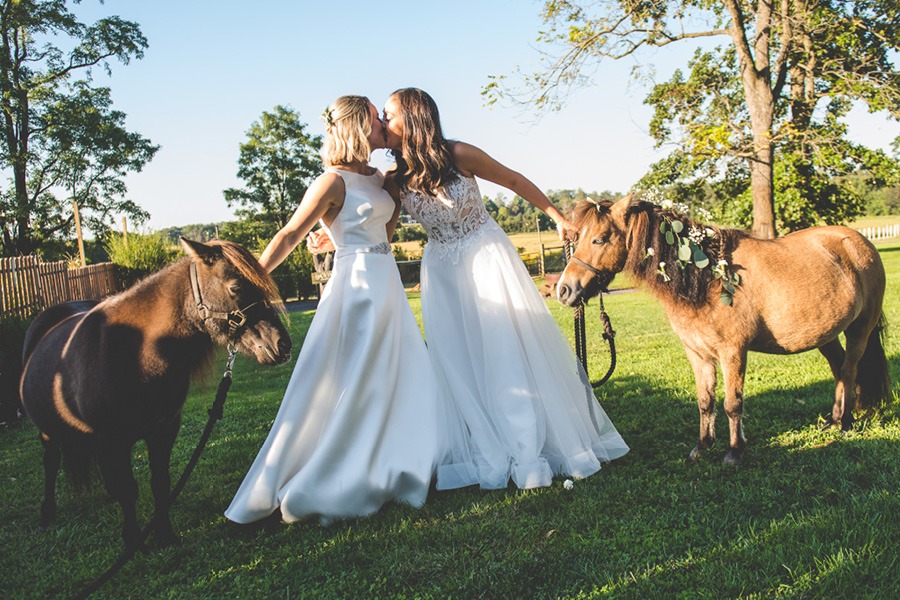 Johnson's Locust Hall Farm wedding
