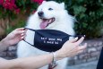 we rate dogs face mask