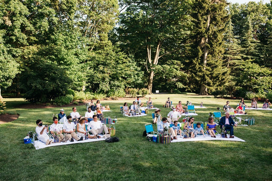 picnic wedding