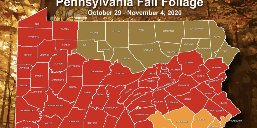 Fall Foliage Reports 2020 Here's When Pa. Will Reach Peak Fall Foliage In 2020