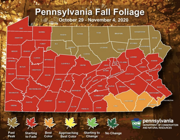 Here’s When Pa. Will Reach Peak Fall Foliage in 2020