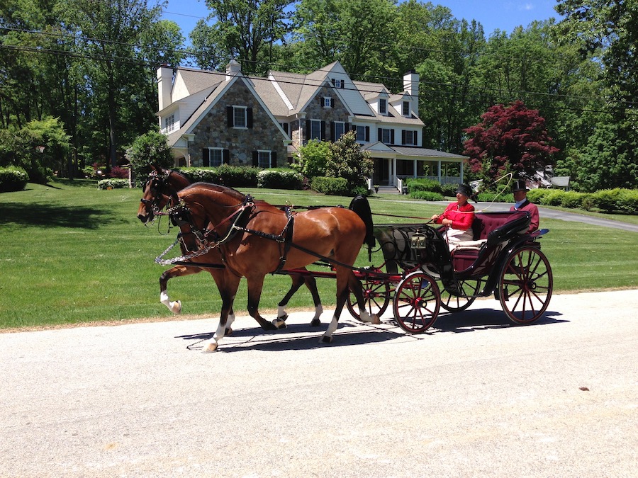 devon horse show passing in front of house