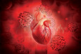 coronavirus heart effects