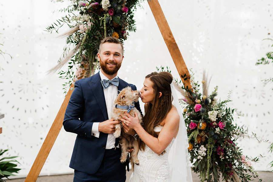 Jake and Annie Elliott get married, their dog Willy from Philly steals the  show – NBC Sports Philadelphia