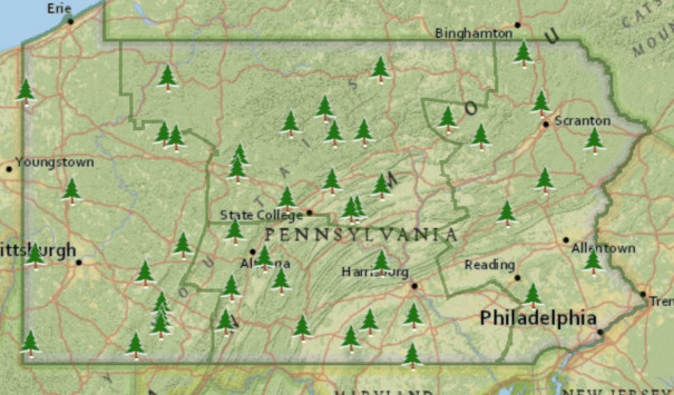 Cabins in Pennsylvania State Parks: The Ultimate Guide