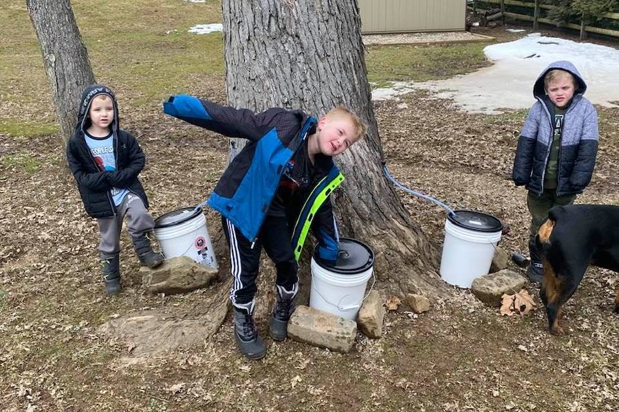 children in newtown square working on their maple syrup project