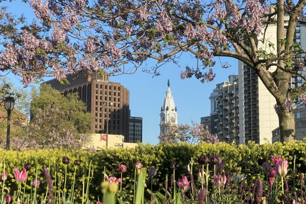11 Places to See Cherry Blossoms in Philadelphia