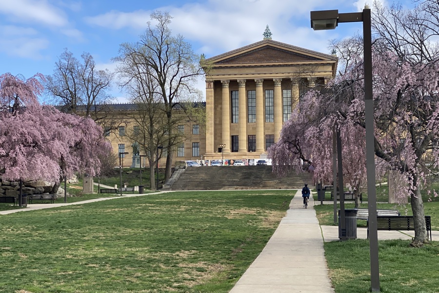 11 Places to See Cherry Blossoms in Philadelphia