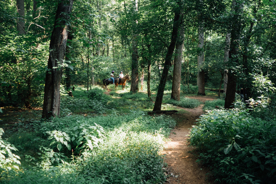 peaceful hikes