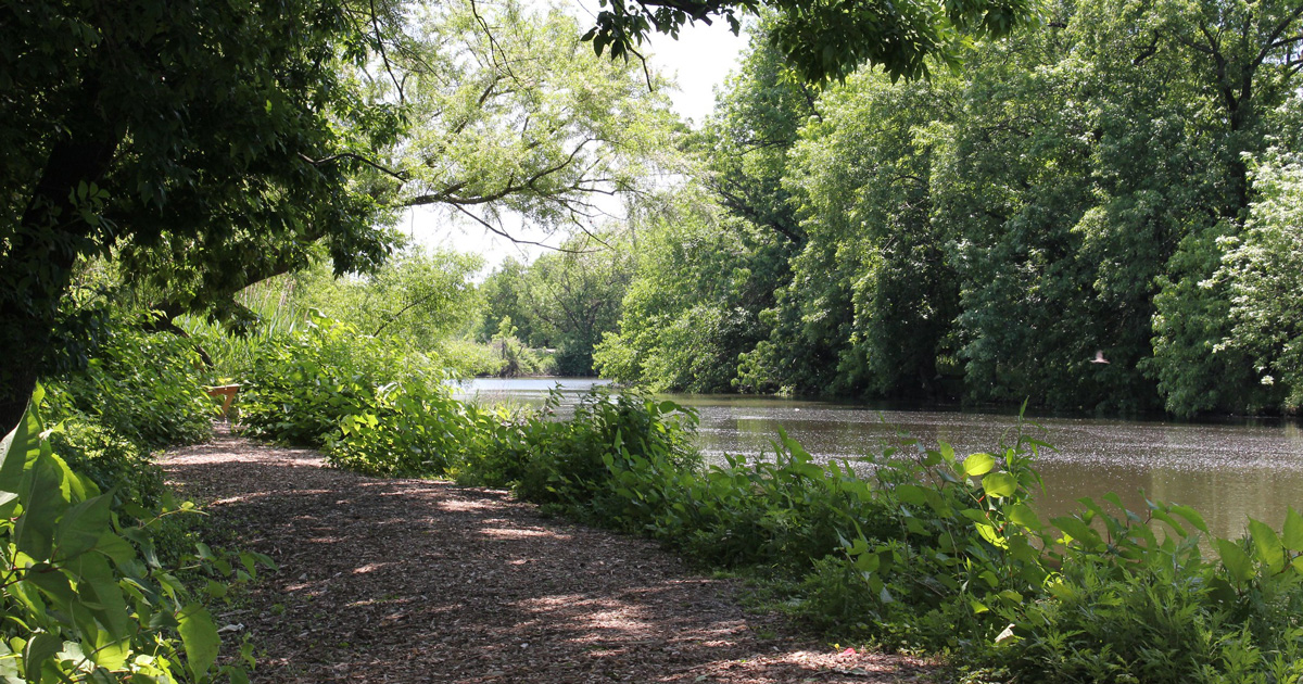 Peaceful Hikes Around Philadelphia Where to Go to Clear Your Head