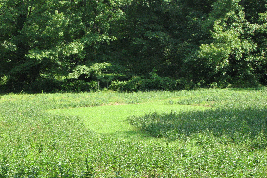 peaceful hikes