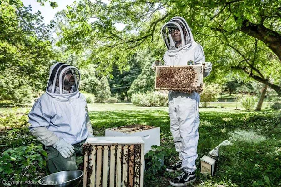 philadelphia beekeepers Sharif El-Mekki and his son