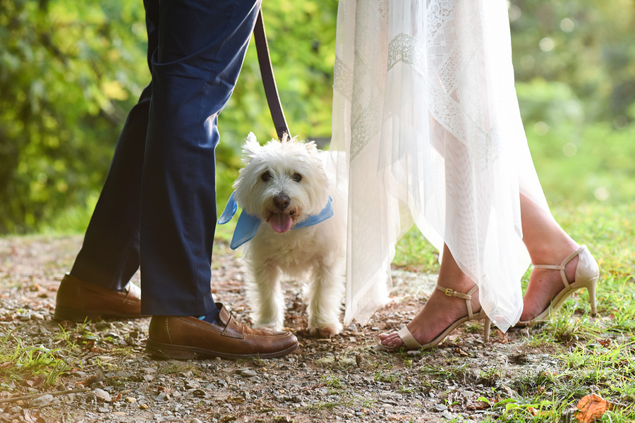 Lambertville engagement shoot