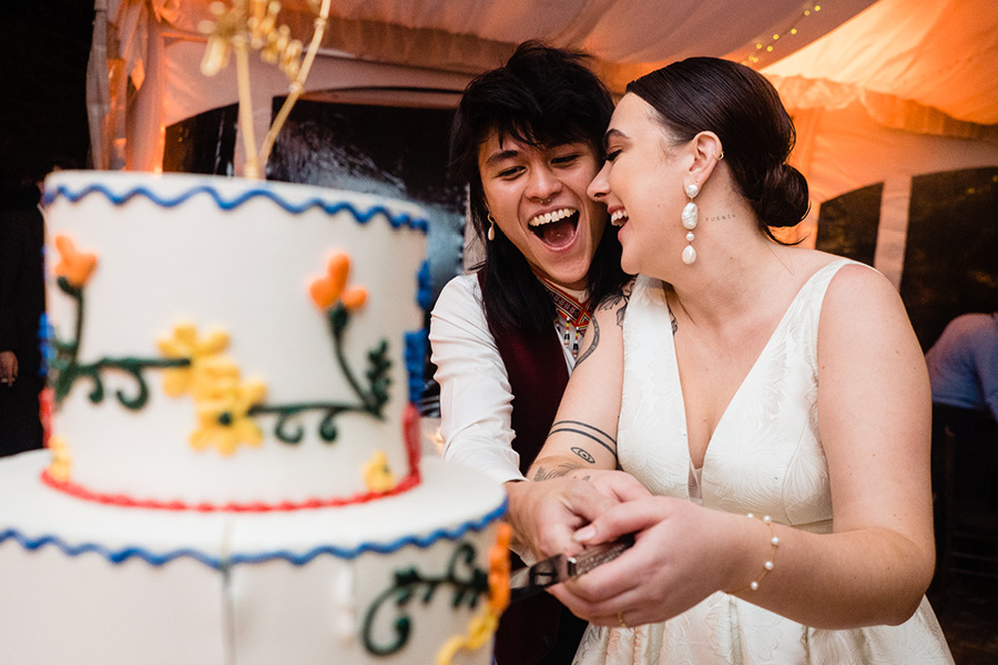 cake-cutting