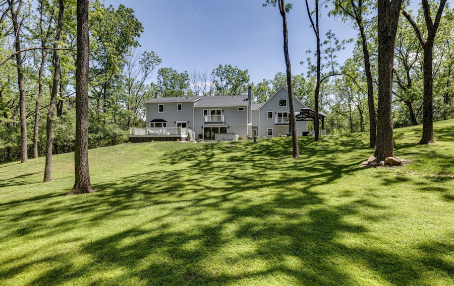 rear elevation and backyard