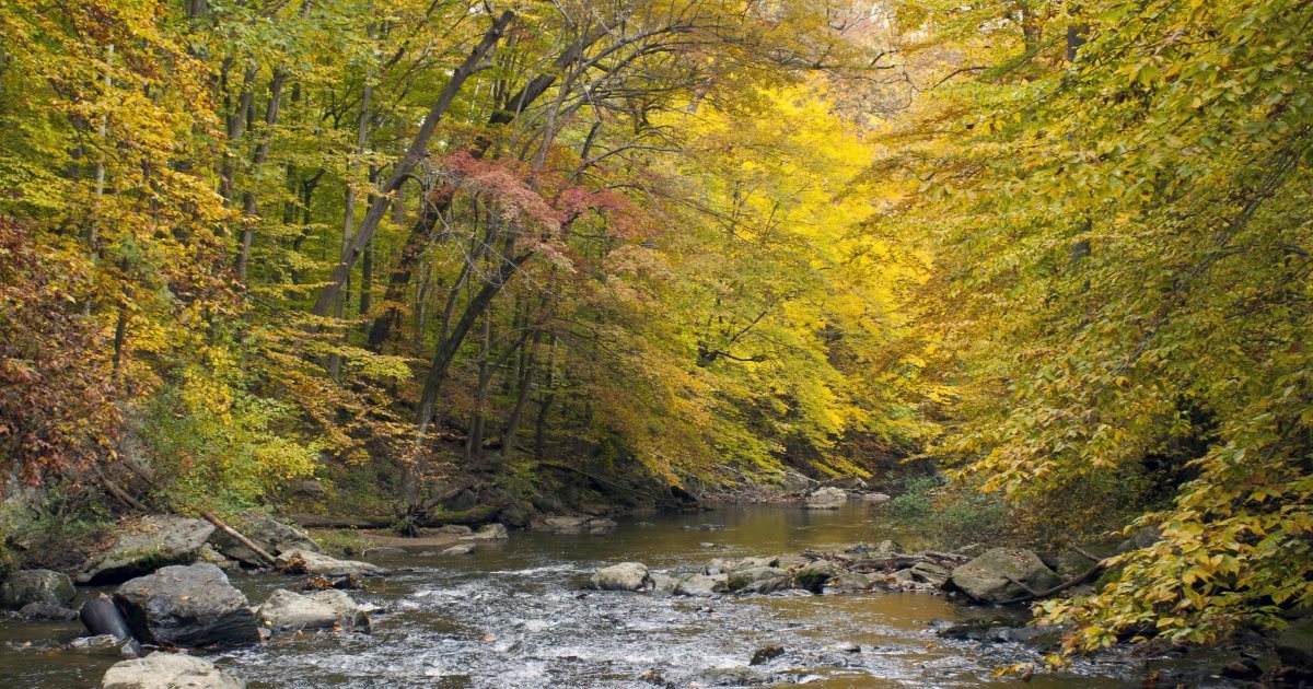 Prep Your Cameras, Pennsylvania’s Fall Foliage Map Is Here