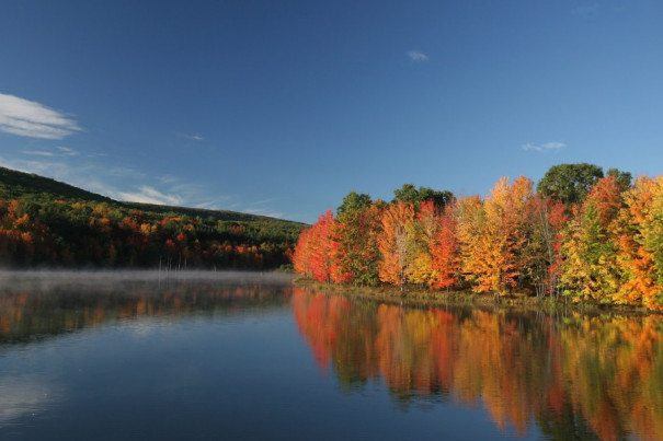 The Ultimate Guide to Pennsylvania's Best Fall Foliage Destinations