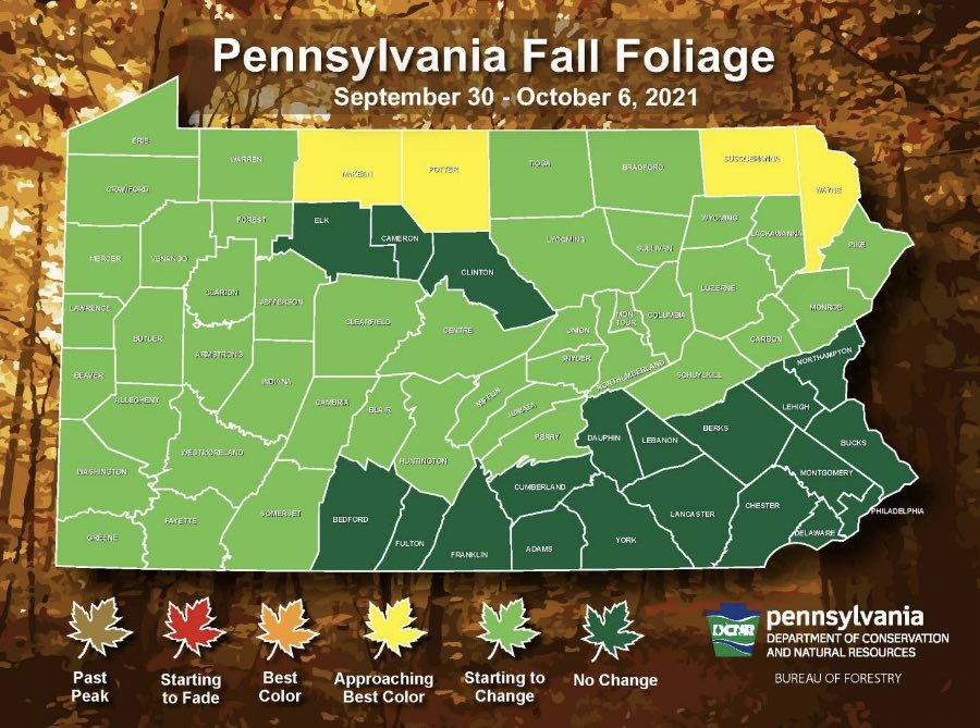 Prep Your Cameras, Pennsylvania’s Fall Foliage Map Is Here