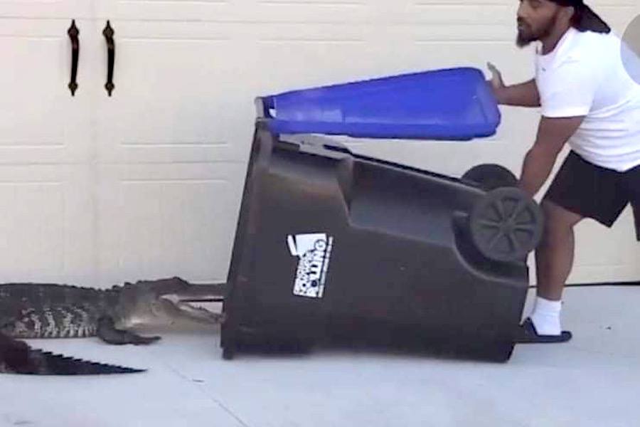 eugene bozzi aka abdul gene malik, who wrangled an alligator into a trash can in florida this week
