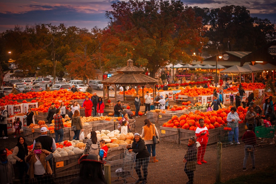 things to do halloween weekend linvilla