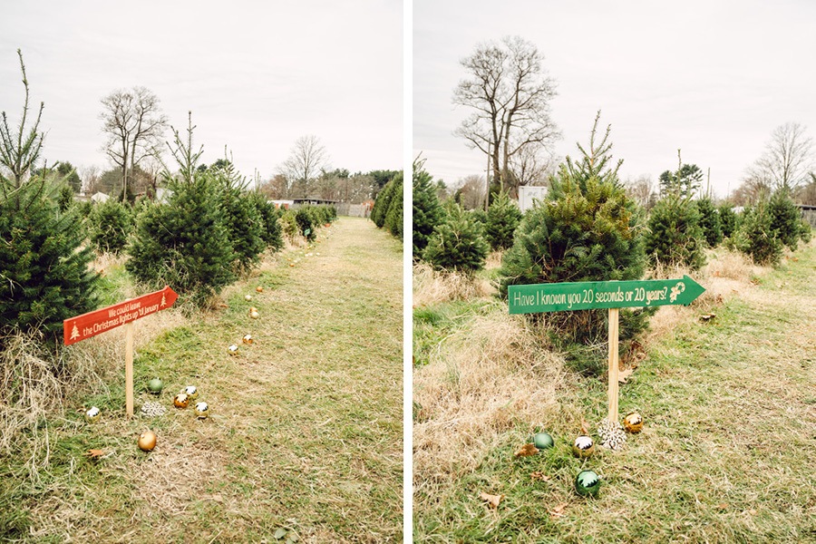 christmass tree farm