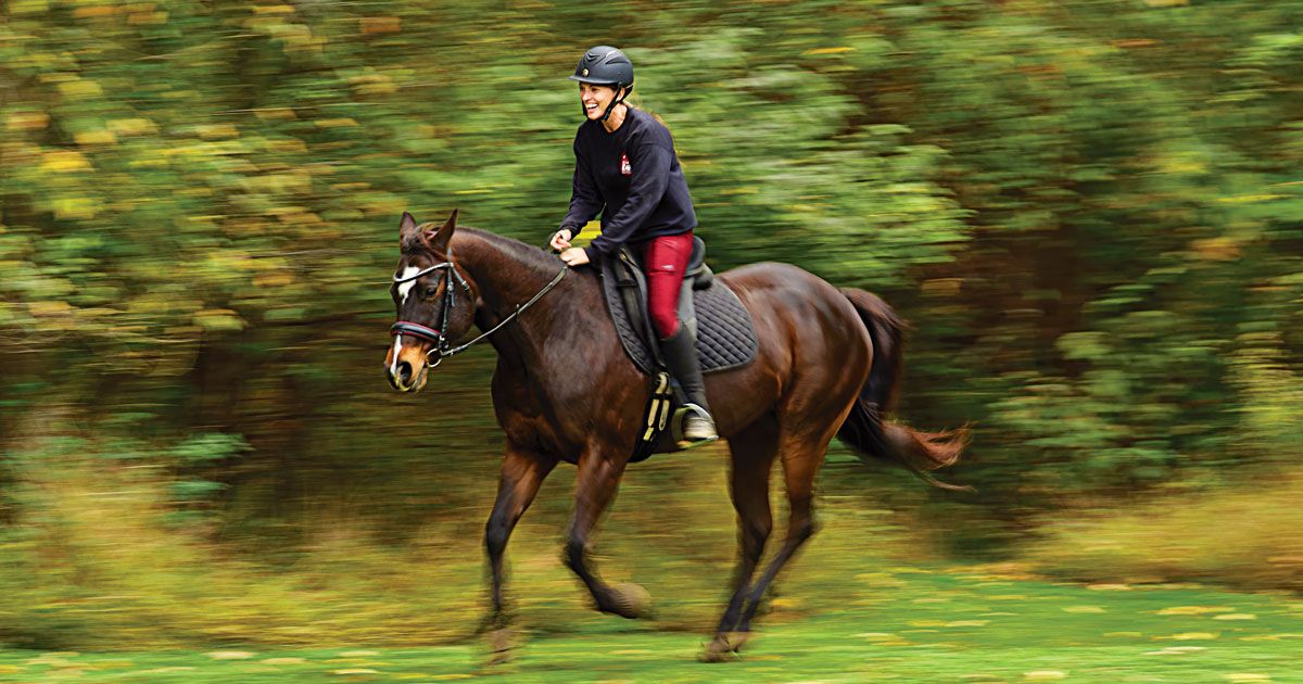 Endurance Riding  English Horseback Riding