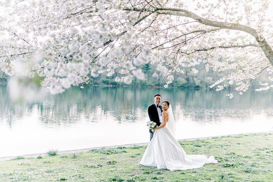 cherry blossom Photo Shoot