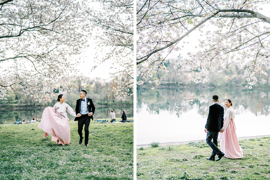 cherry blossom Photo Shoot