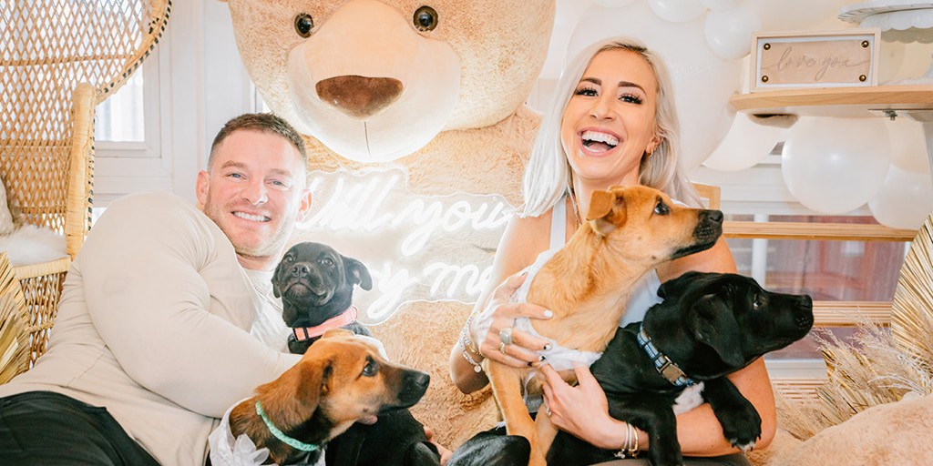The Bride's Family Helped Stage This Puppy Proposal - Vimarsana News