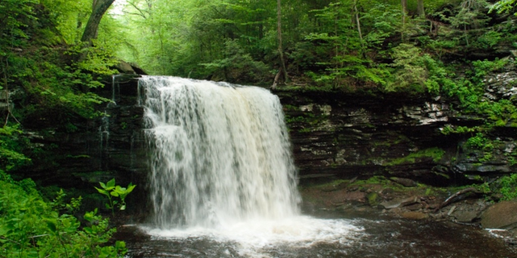 10 Hikes Near Philly With Waterfalls and Gorgeous Views - Vimarsana News