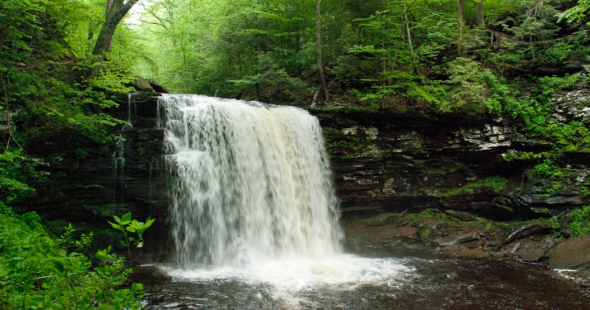 State Park Hiking Trails Near Me 10 Hikes Near Philly With Waterfalls And Gorgeous Views