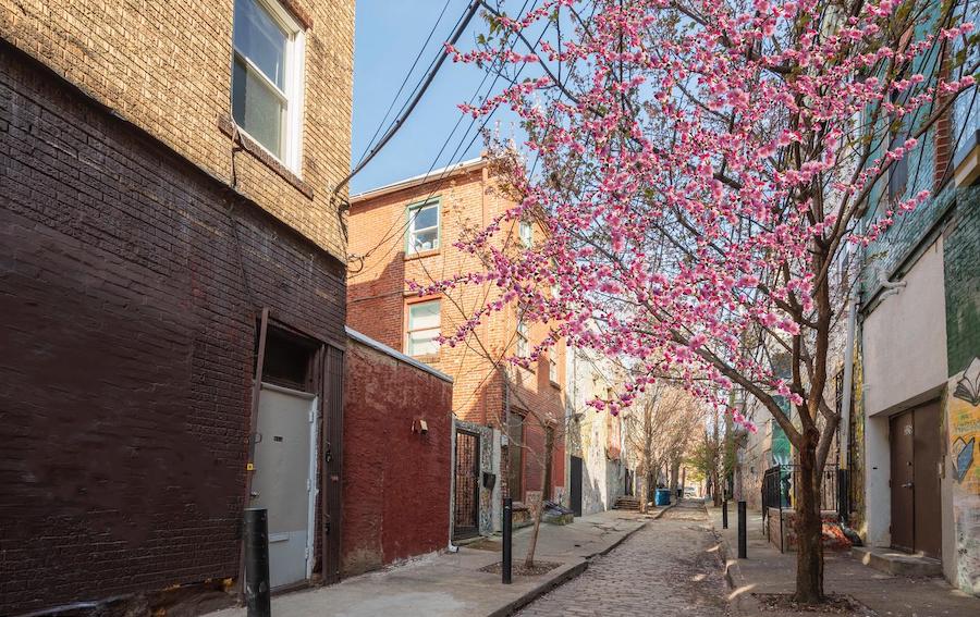 house for sale queen village kater street trinity cherry tree in bloom on 300 block of Kater Street