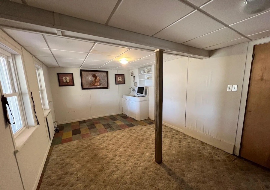 basement bedroom/bonus room