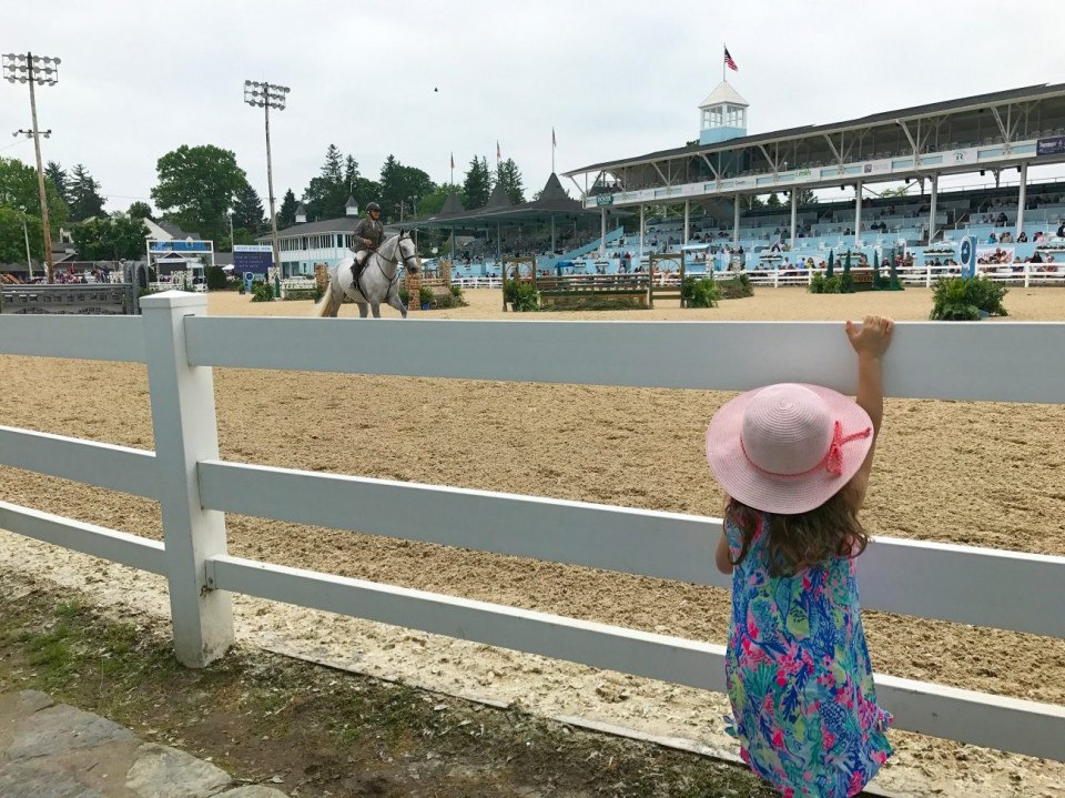 Your Ultimate Guide to the Devon Horse Show