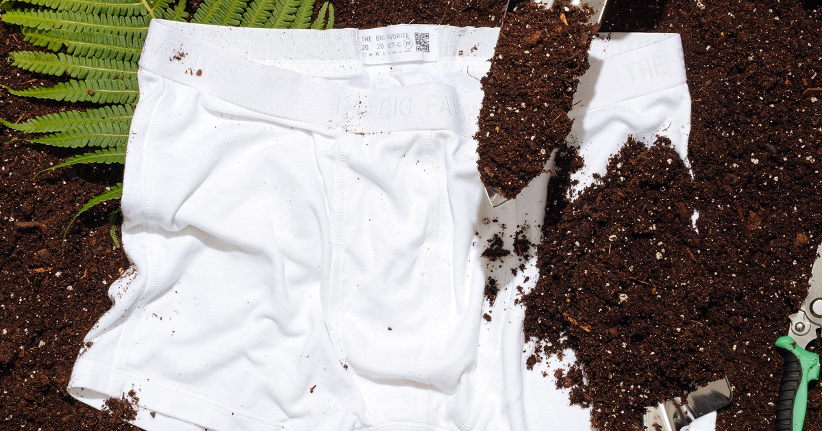 White underwear is being worn in the soil here, it is interesting because