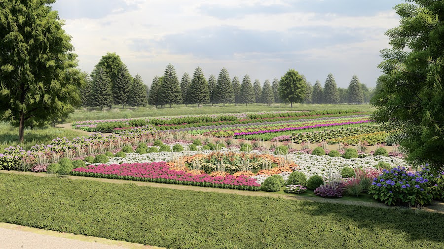 flower and vegetable garden