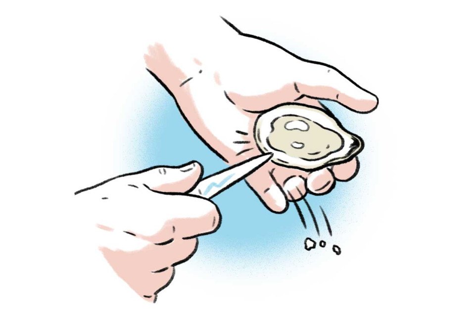 shuck oyster