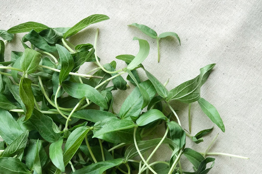 greens