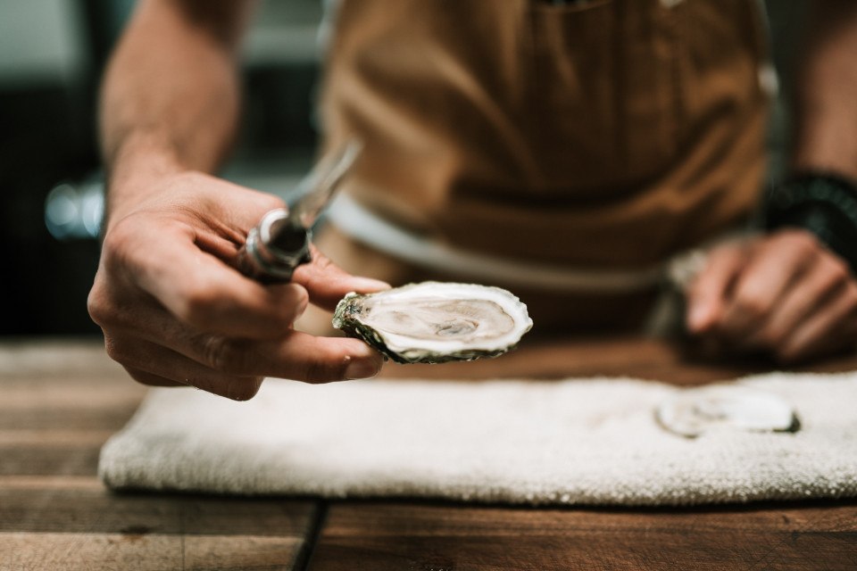 shuck oyster