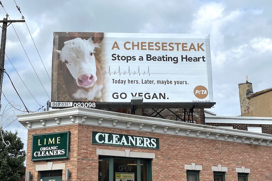 a peta billboard against cheesesteaks has appeared near pat's and geno's in philadelphia