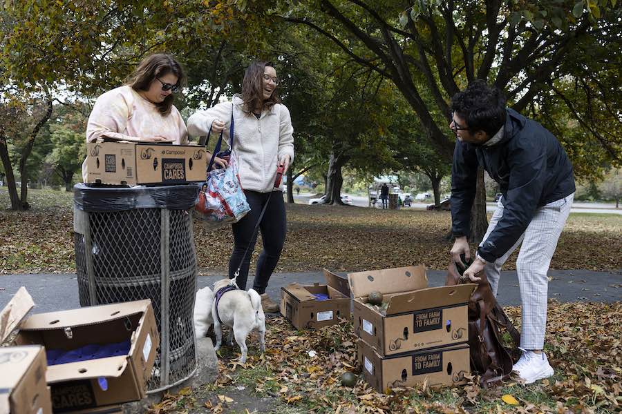 people collecting free avocados in fdr park in south philadelphia