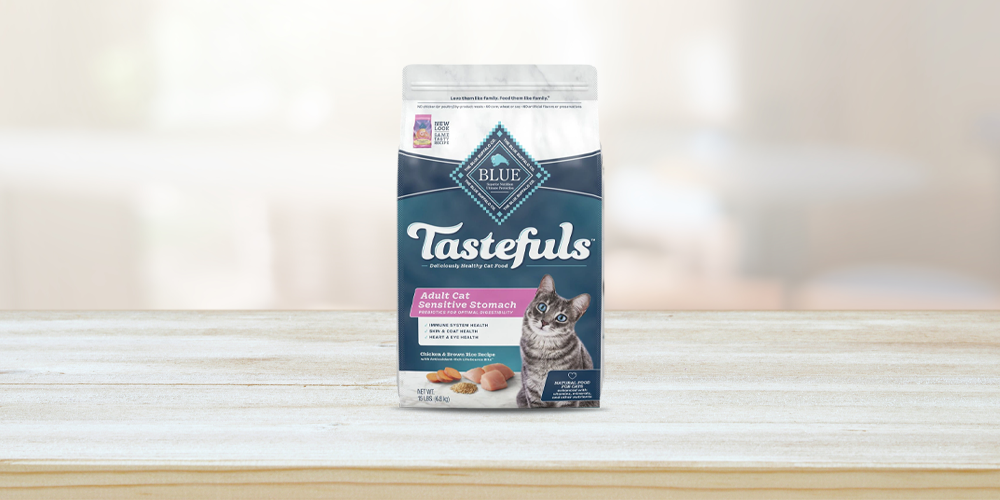 Best sensitive stomach outlet cat food