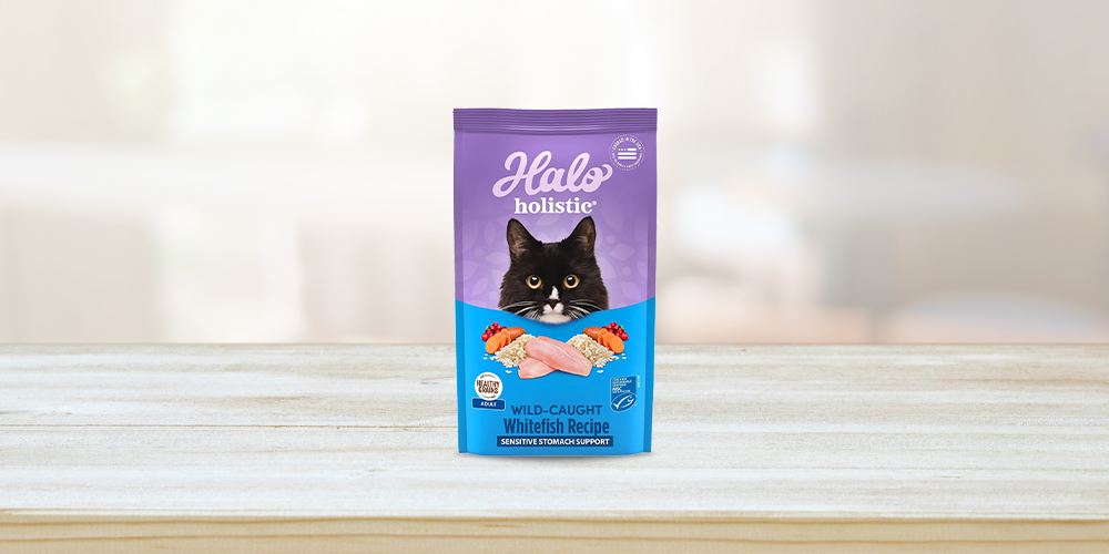 Halo brand outlet cat food