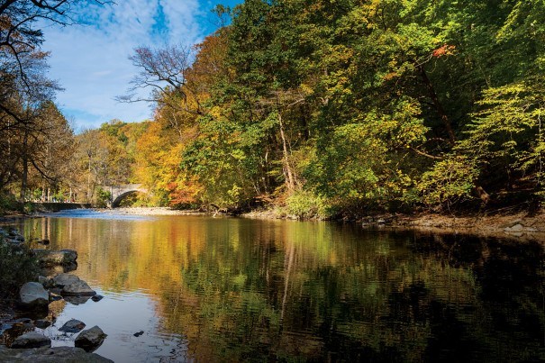 An Insider's Guide to Exploring Wissahickon Valley Park