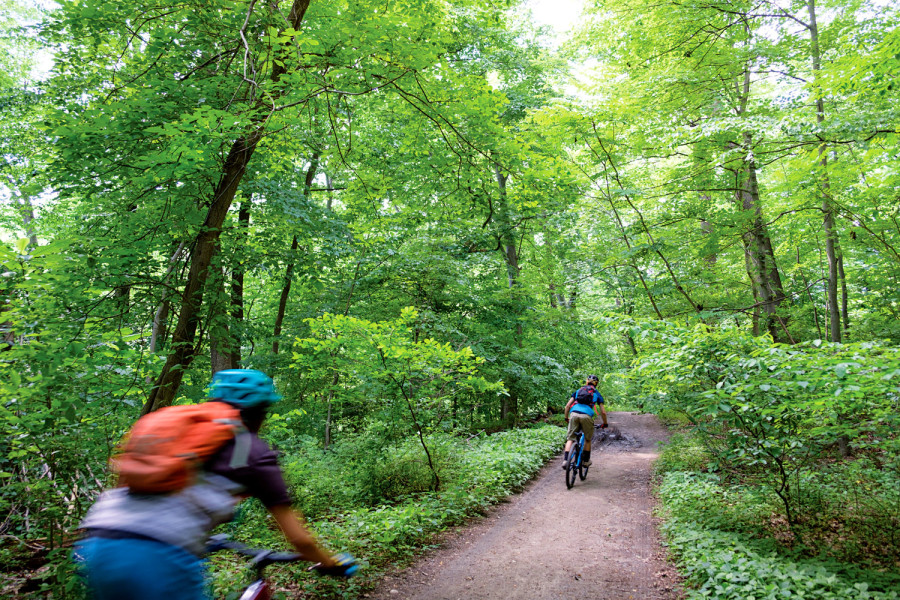 Where to Live in the Philadelphia Region if You Love Nature - Vimarsana News