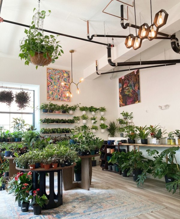 Philly-Area Plant Shops That'll Fill Your Home With Green