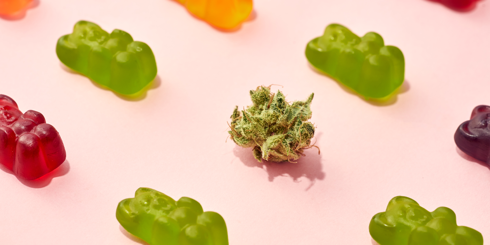 Delta 9 Gummies: 5 Tasty THC Edibles For Ultimate Relaxation