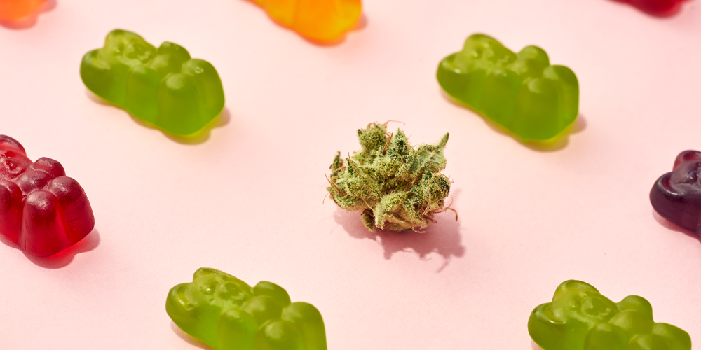 How to Make Cannabis Gummies (Weed Gummy Bears)