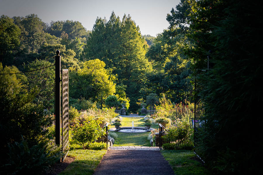 morris arboretum